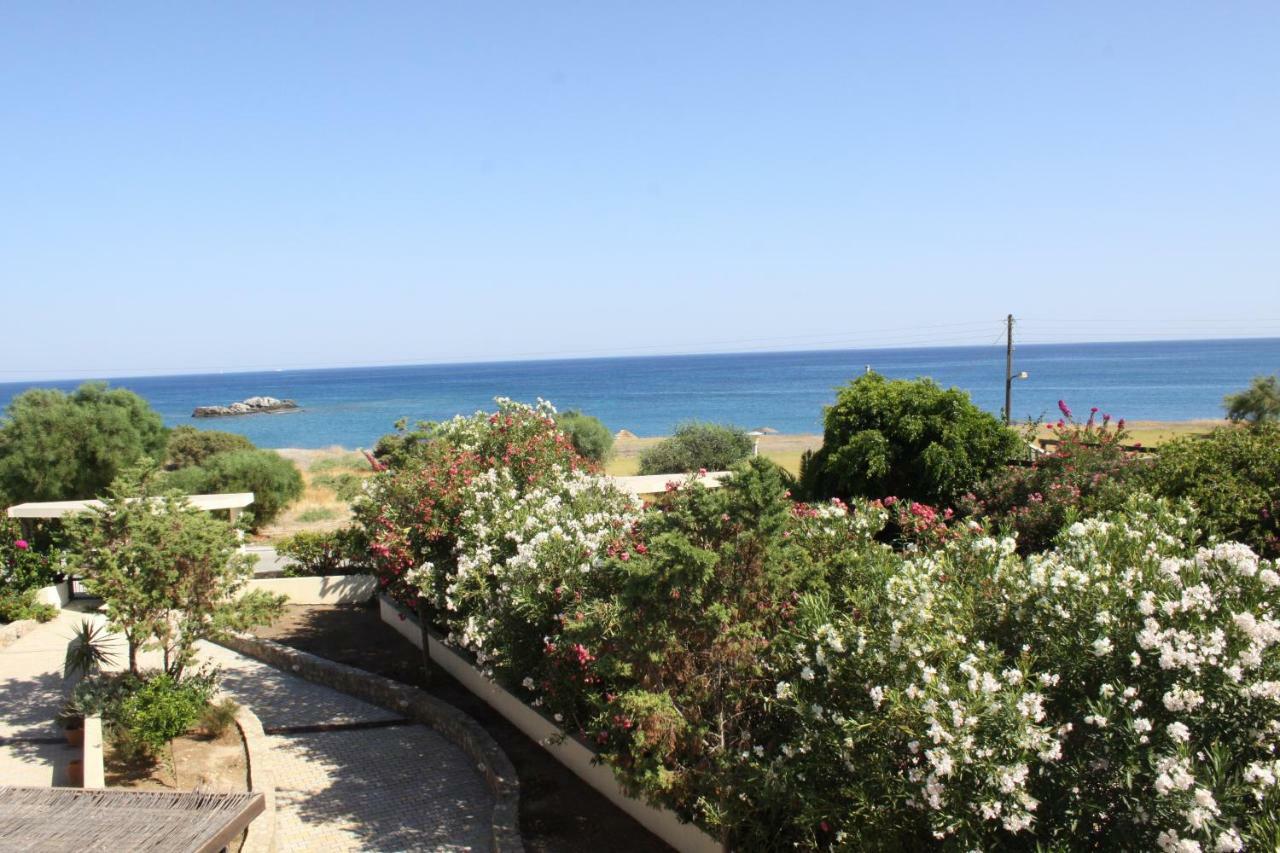 Athina Villa Kiotari Bagian luar foto